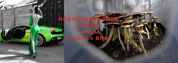 дурь Белоозёрский